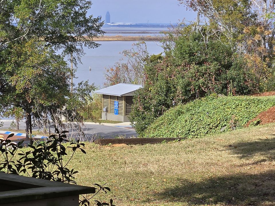 View from the back deck.