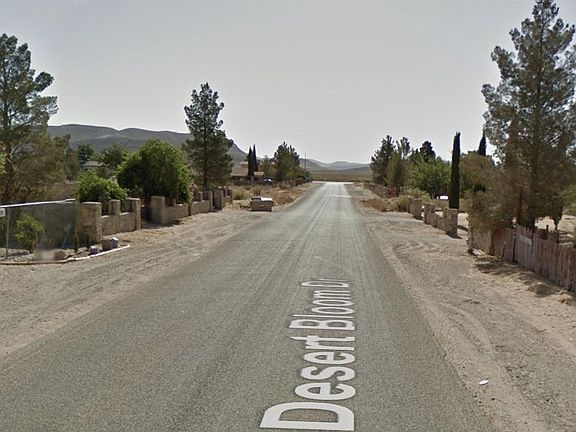 2nd image of 15330 Desert Bloom Dr