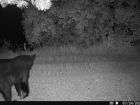 3rd image of 11545 Five Mile Rd