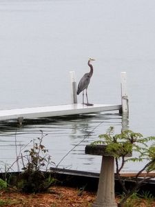 9444 Main St, Whitmore Lake, MI, 48189