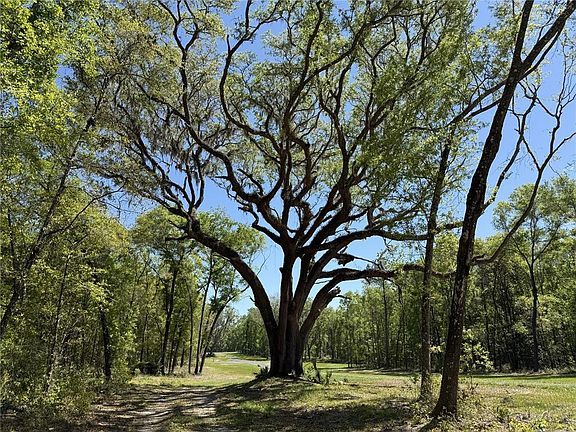 5th image of Irvine Acres #5 (13ac) W HWY 318