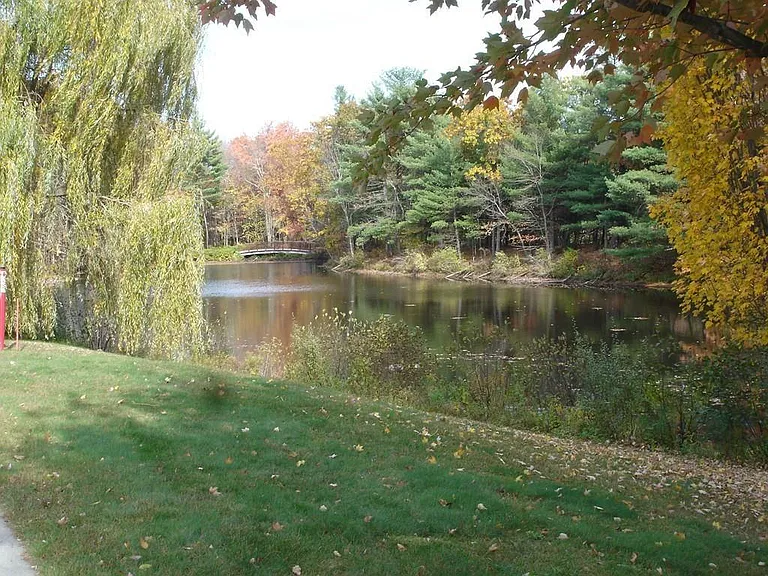 52 Swanson Ct — Photo 14