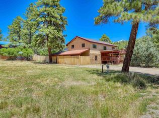 168 Dayspring Pl, Pagosa Springs, CO 81147