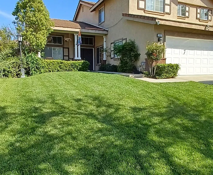 2885 Coral St #1 — Photo 13