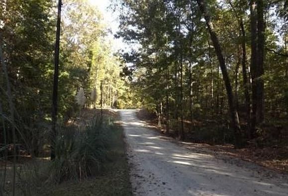 2nd image of 0 Schultz Rd #6