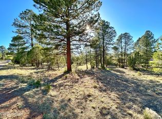 2882 Silver Dollar St, Overgaard, AZ 85933