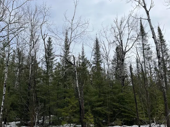 L-251 252 Pineview Dr, Presque Isle, MI 49777