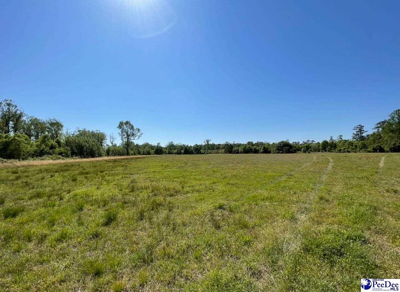 Olanta Hwy, Turbeville, SC 29162 Zillow