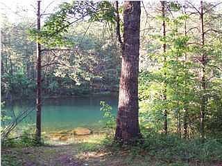 2nd image of 234 White Oak Trl