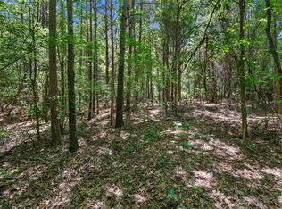 County Road 3363 Tract #D, De Berry, TX 75639