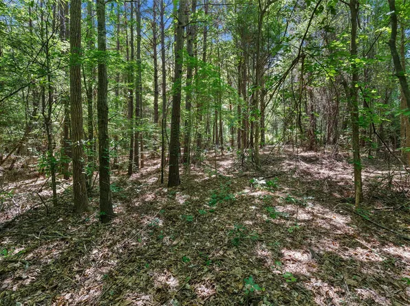County Road 3363 Tract #D, De Berry, TX 75639