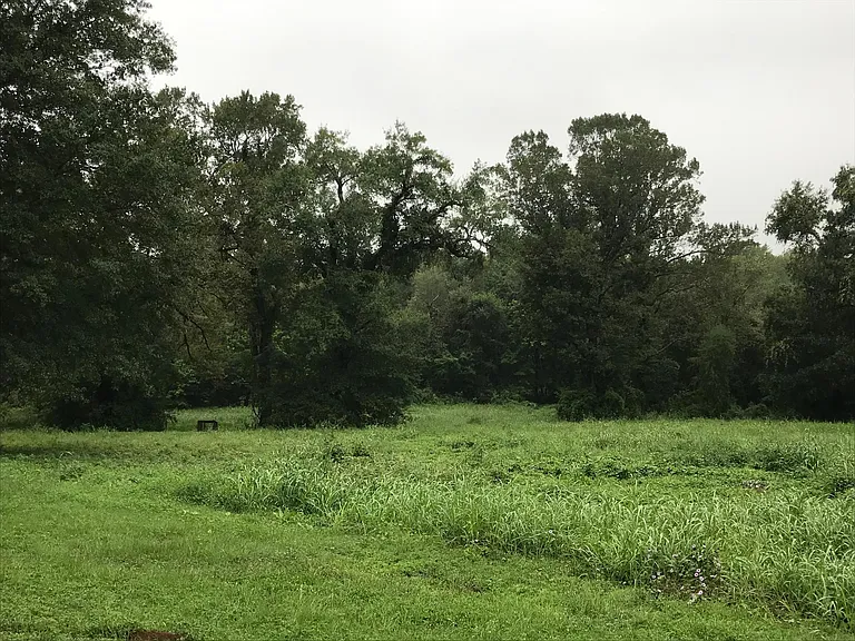 S Magnolia Dr — Photo 6