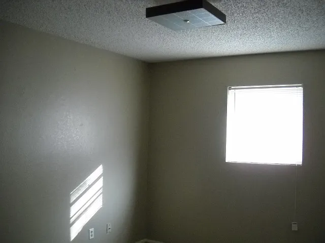 925 Minter Ln — Photo 6