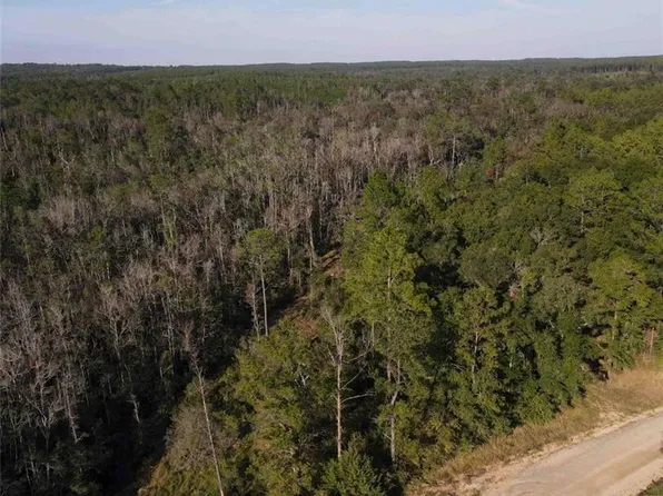 0 Kelly Trl, Chunchula, AL 36521