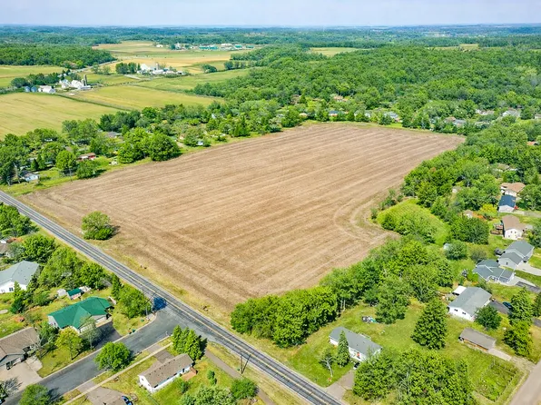 The Madison Plan, Wildflower Meadows