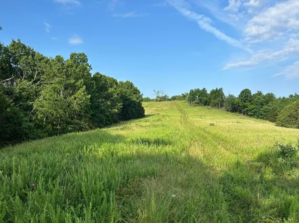 000 Terrace Lane, Cape Fair, MO 65624