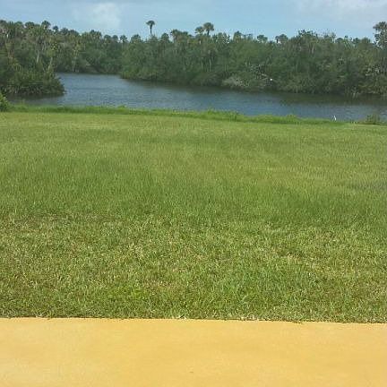 back yard