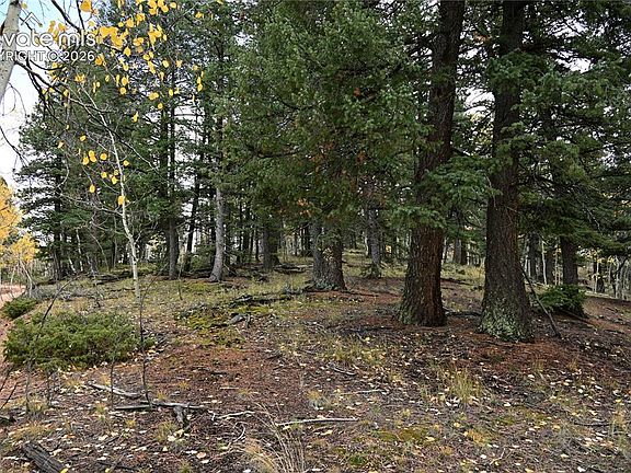 3rd image of 1020 Princess Rd