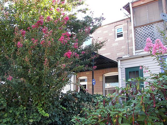 Crepe Myrtle and Deck Roof