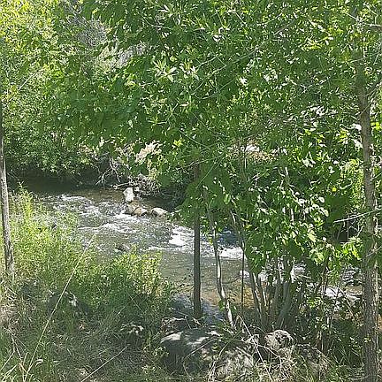 Surface Creek center of lot