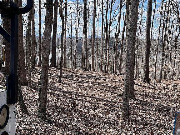 4th image of Rindler Rdg