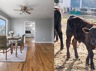 4809 Grace Rd, Benzonia, MI 49616