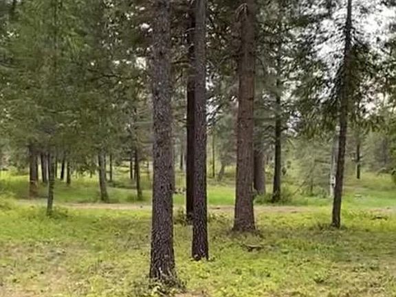 2nd image of 42 Ball Ln