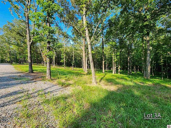 3rd image of LOT 3A Serenity Village Dr
