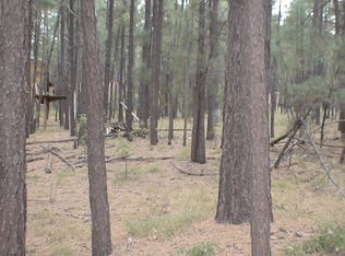 580 S Ridge Dr, Show low, AZ 85901