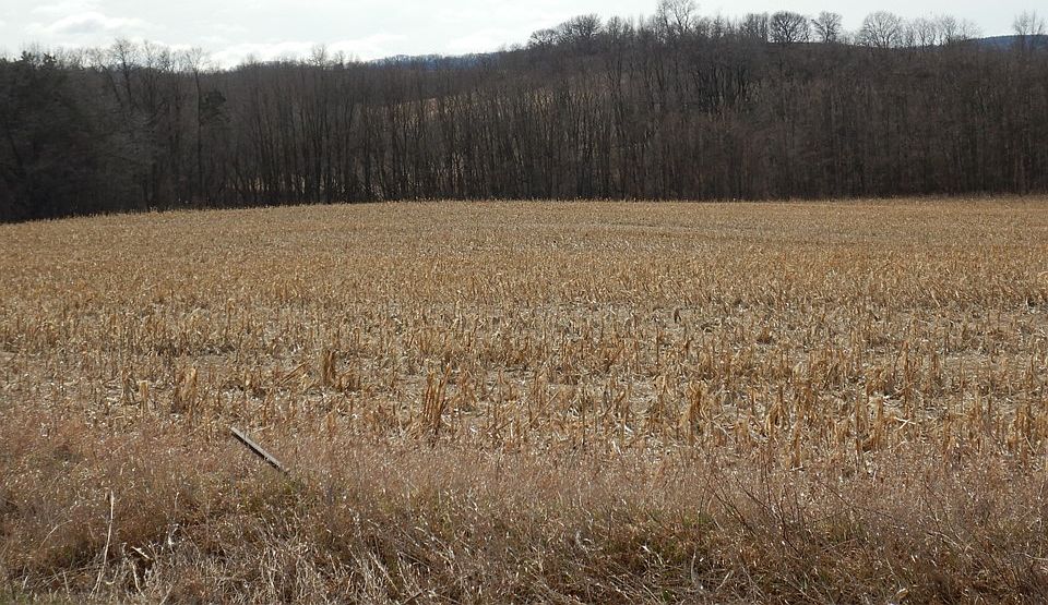 1st image of 0 Lees Valley Road