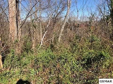 5th image of 674 Stockton Dr