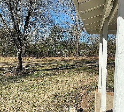 Yard looking north. 