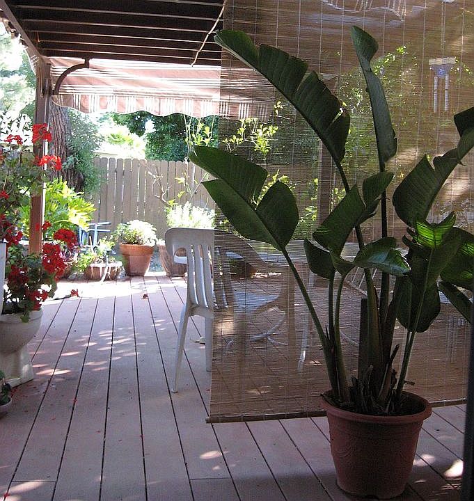 deck and pergola covered