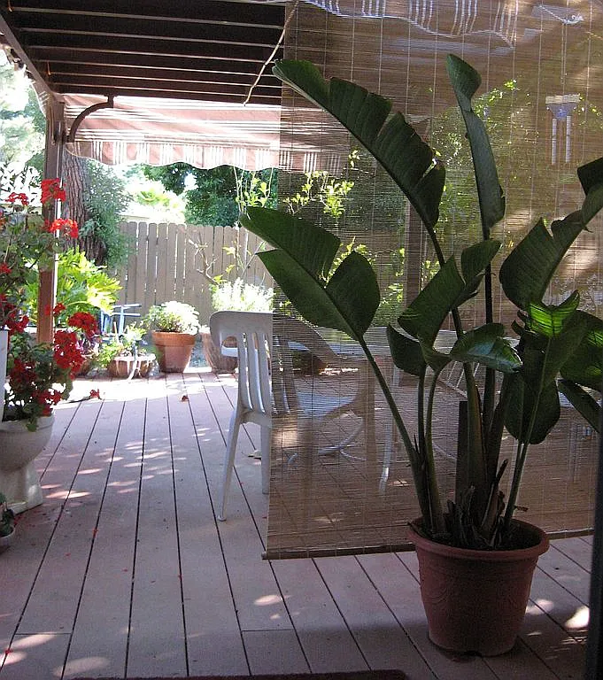 106 Green Tree Dr photo 1