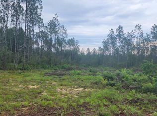 PARCEL 7 Long Rd, Laurel Hill, FL 32567