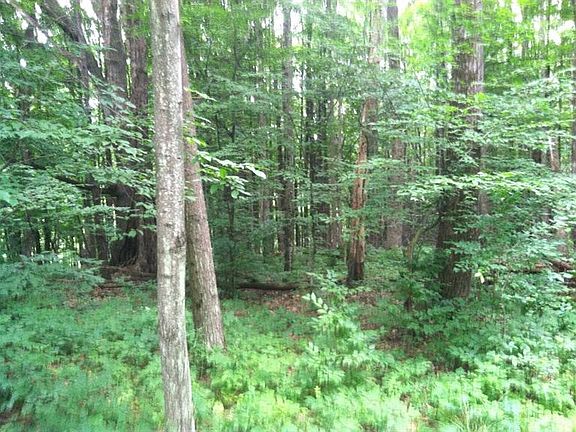 4th image of 163 Woodstream Ln