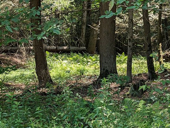 2nd image of 0 Jemison Rd