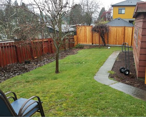 Fenced backyard