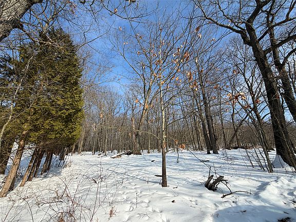 2nd image of 39 Forest Hill Rd