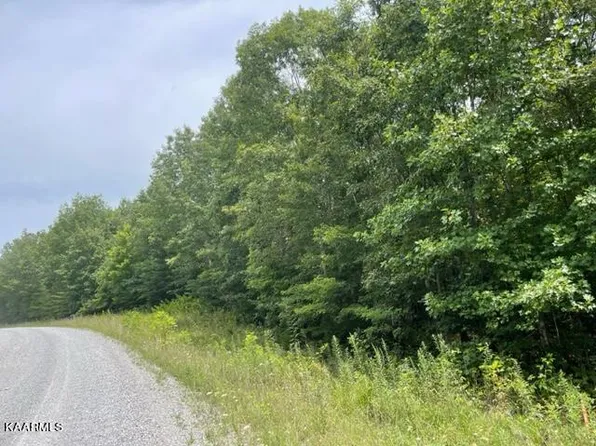 568AC Big Piney Loop, Wilder, TN 38589