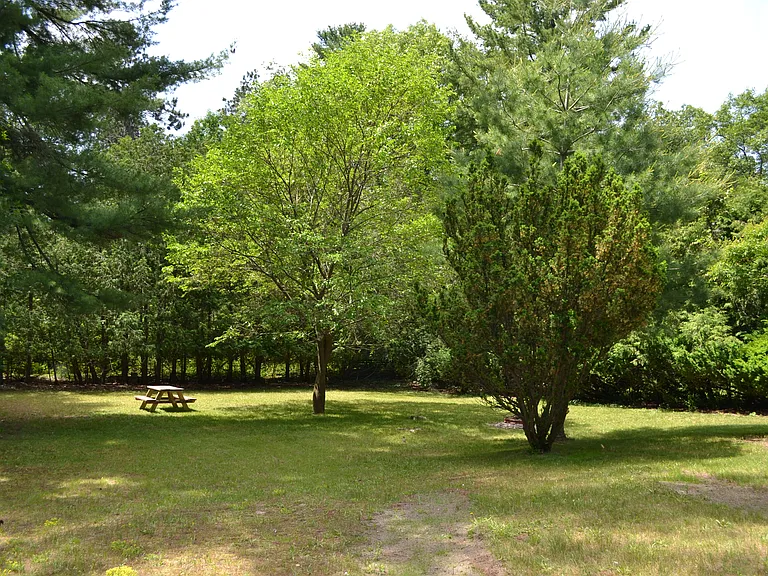 870 Pine Grove Ave — Photo 36