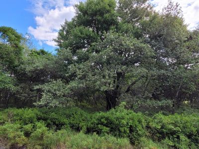 254 Mindy Ln, Albrightsville, PA, 18210
