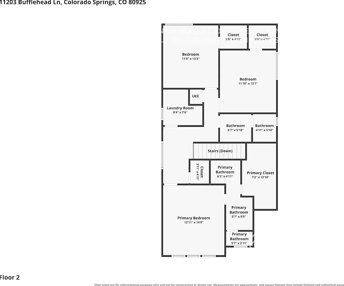 11203 Bufflehead Ln Colorado Springs, CO 80925 — Photo 3