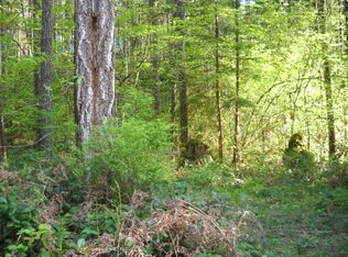 240 N Dow Creek Dr, Hoodsport, WA 98548