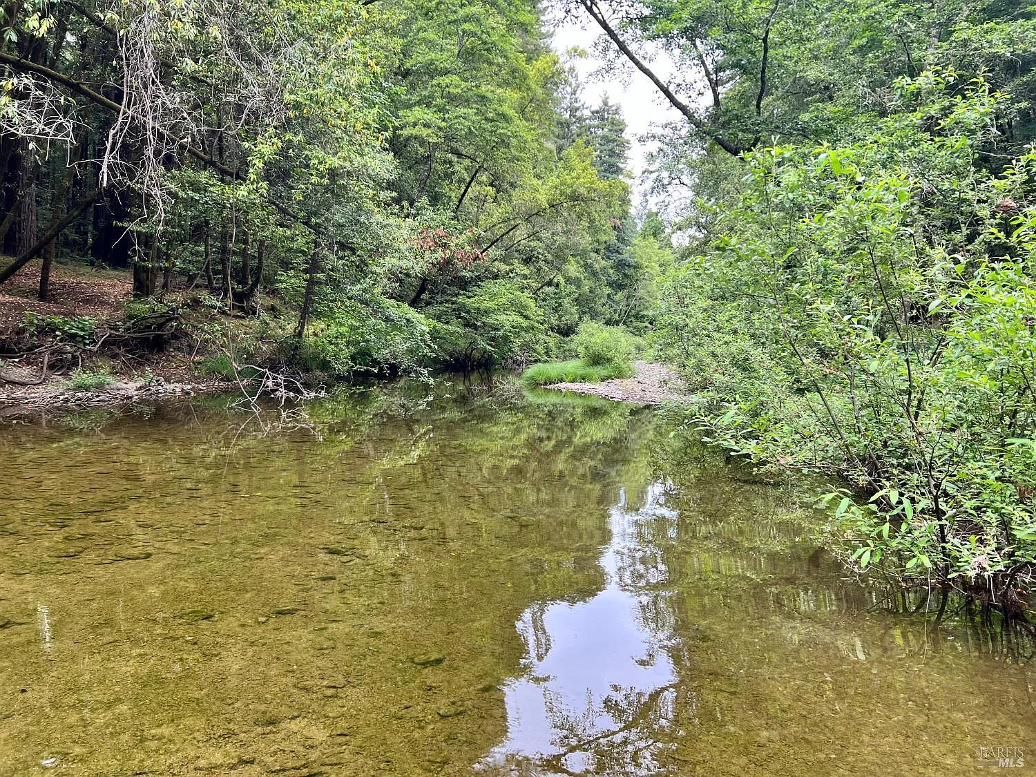 475 E Austin Creek Road - Photo 6