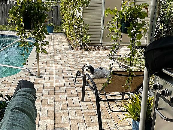 2nd image of 308 Gulfstream Dr