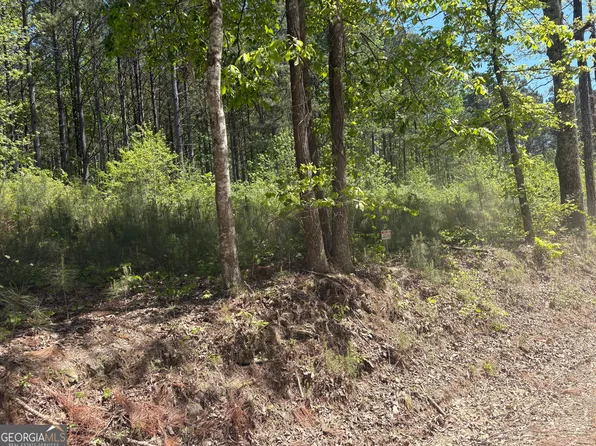 7500 Tyree Rd, Winston, GA 30187