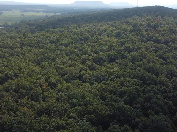 1 Randolph Rd, Ratcliff, AR 72951