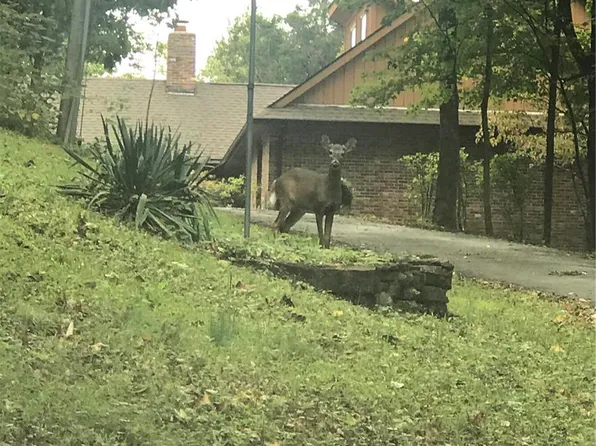 13129 Loop Rd, Marthasville, MO 63357