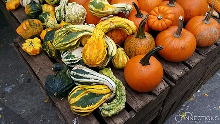 Rented by City Connections Realty